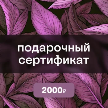 Каталог товаров 137 Подарочный сертификат на 2000 ₽