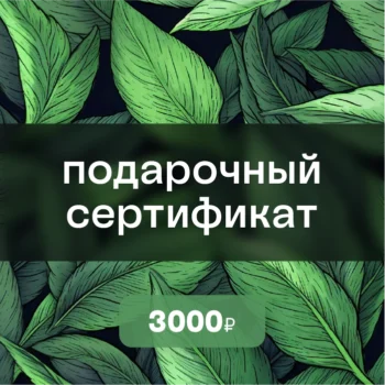 Каталог товаров 138 Подарочный сертификат на 3000 ₽