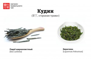 Кудин